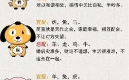 七情六欲猜准生肖