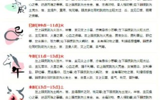 昼夜眼跳时辰对照表