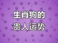 狗的六贵人是什么生肖？属狗一生的贵人和克星