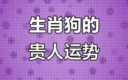 狗的六贵人是什么生肖？属狗一生的贵人和克星