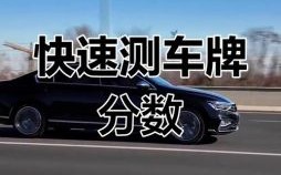 车牌号码测吉凶 车号打分100