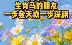 一步登天指什么生肖