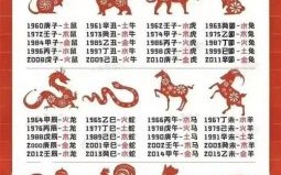 2009年属什么生肖