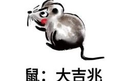 焦头烂额是什么生肖？焦头烂额最佳答案一肖