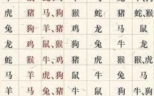 打掉牙齿和血吞是指什么生肖