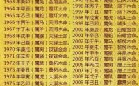 二四两位运中特打一生肖谜底解析，生肖运势大揭秘