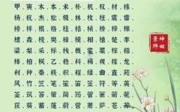 五行缺木姓木算不算 五行缺木姓李缺木吗