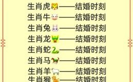 本命年感情如何本命年夫妻感情会不顺吗