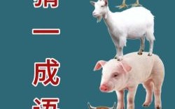 探头探脑比喻什么动物 欲钱购探头探脑猜一生肖