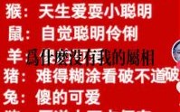 欲钱买最贴心的人是什么生肖？最贴心的人正确生肖