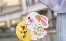 玉兔出宫对应何生肖 玉兔出眼前猜一最准生肖