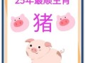 1995年属猪人2025年运势预测