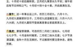 2025年属兔入宅吉日查询2025属兔入伙良辰精选