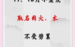 五行属木火的女孩名字寓意好的字 五行属木火的女孩名字