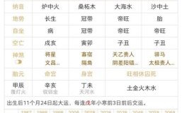 生俗物打一生肖，火金酉时命格