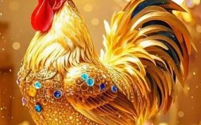 属鸡2021年运势及运程