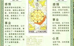 命运之轮逆位含义是什么19年属狗运势