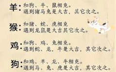 指字打一生肖是什么？指字代表什么动物