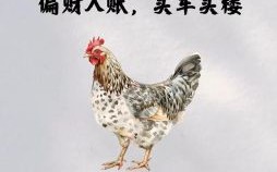 05年属鸡2025年运程 05年属鸡人2023年运势