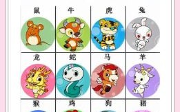 优雅高贵是什么生肖