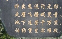 万木林中苦最多是指什么生肖