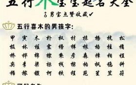 名字属木的字女孩名字 属性木的字女孩名字
