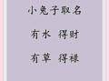 属兔命里缺水的女孩取什么名字好 兔年带水的女孩名字