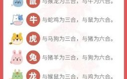 左家有女二十岁是什么生肖？四十七岁属什么生肖