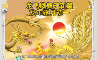 九天凤起舞是什么生肖？龙飞凤舞喜逢时打一肖