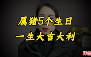属猪人哪年过本命年多少周岁