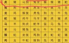 夜行八百属何肖