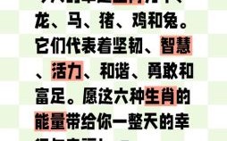 风雨无阻指什么生肖 风雨无阻必到达代表一生肖