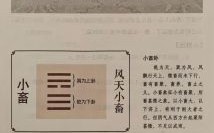 小畜卦财运解析劝诸君莫算命