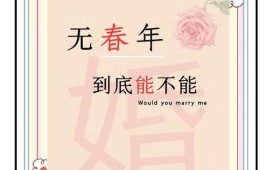 2013年有寡妇年的说法吗