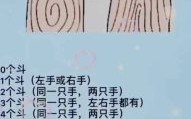 手指指纹斗与簸箕图解