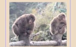 无奈还须揾两餐是什么生肖？无可奈何打一个生肖