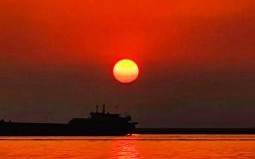 无忧夕阳红是什么生肖？夕阳无限近黄昏是什么生肖