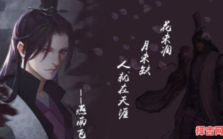 燕南飞说的是什么生肖？燕南飞和公子羽谁厉害