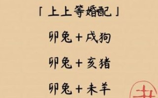 兔与什么属相婚配最佳，兔和鼠相配婚姻怎样