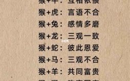 生死相依是什么生肖？生死相依打一准确生肖