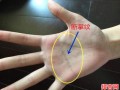 男性左手断纹掌