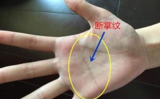 男性左手断纹掌