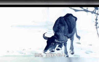 骑牛去化缘是什么生肖？和尚化缘打一最佳生肖