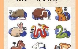 老候中宝是什么生肖？全身是宝打一正确生肖