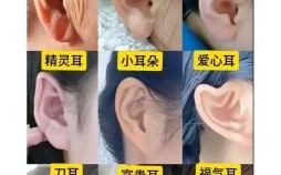 耳朵小如何改善