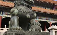 2025年石狮子安放 院落柱顶的石狮子