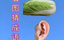 耳明眼亮猜一生肖