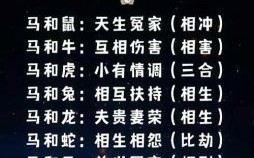 九零年女马最佳婚配属相九零年女马必定再婚