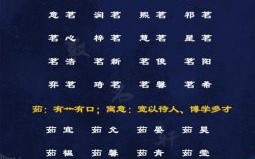 兔年女宝宝取名最佳用字 免年女孩名字