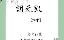 胡姓男孩名字属兔 2026年兔年女孩名字姓胡